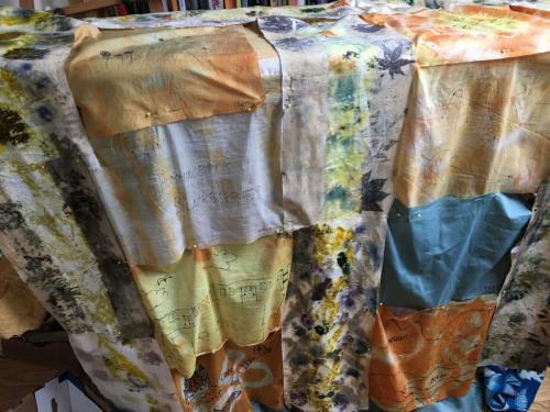 Alder Eco Arts Silk Dyes